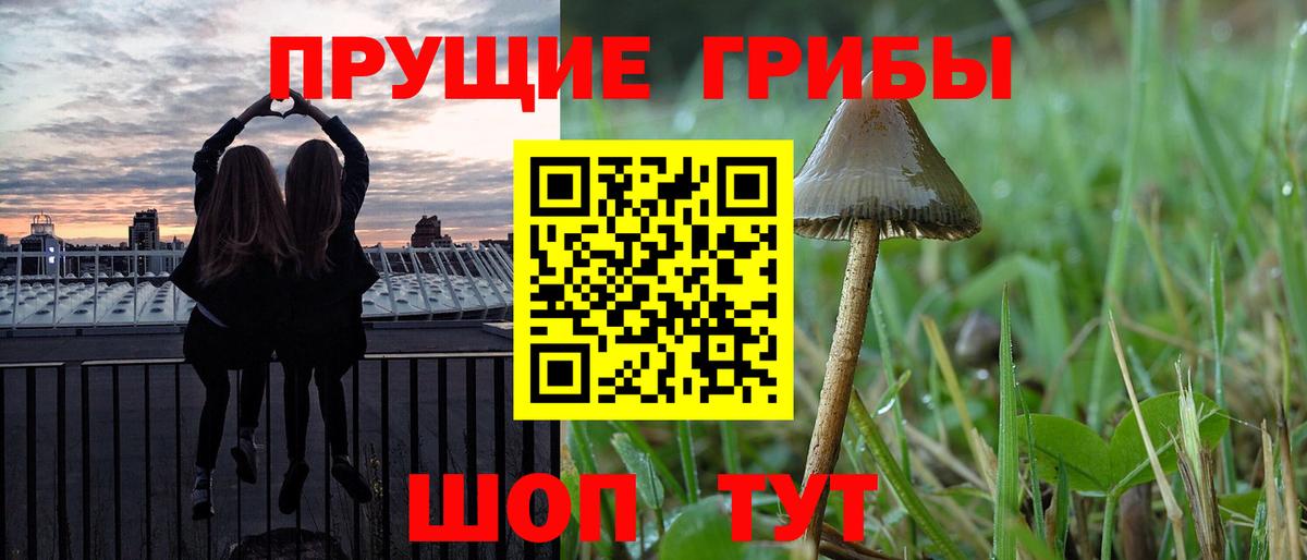 где найти   Вход с VPN  Тольятти  Псилоцибиновые грибы мухоморы 