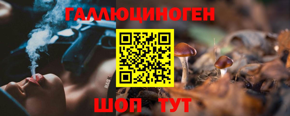 Псилоцибиновые грибы прущие грибы Тольятти